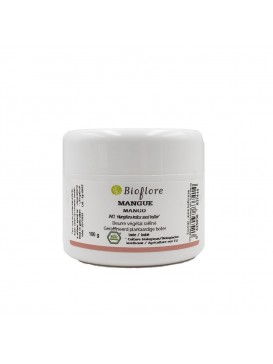 Bioflore - Beurre de Mangue Raffiné Bio - 100 grammes